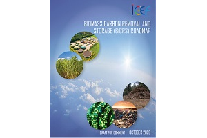 バイオマス炭素除去・貯蔵（BiCRS）の表紙