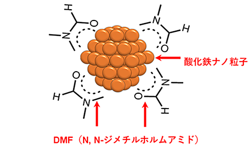 DMF保護による酸化鉄ナノ粒子のイメージ図