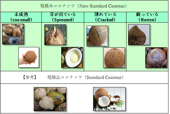 規格外ココナッツの定義を表した図